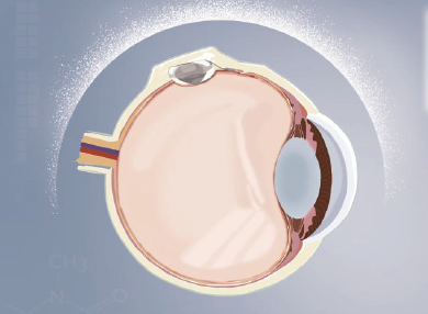 兴发xf(中国区)游戏有限公司