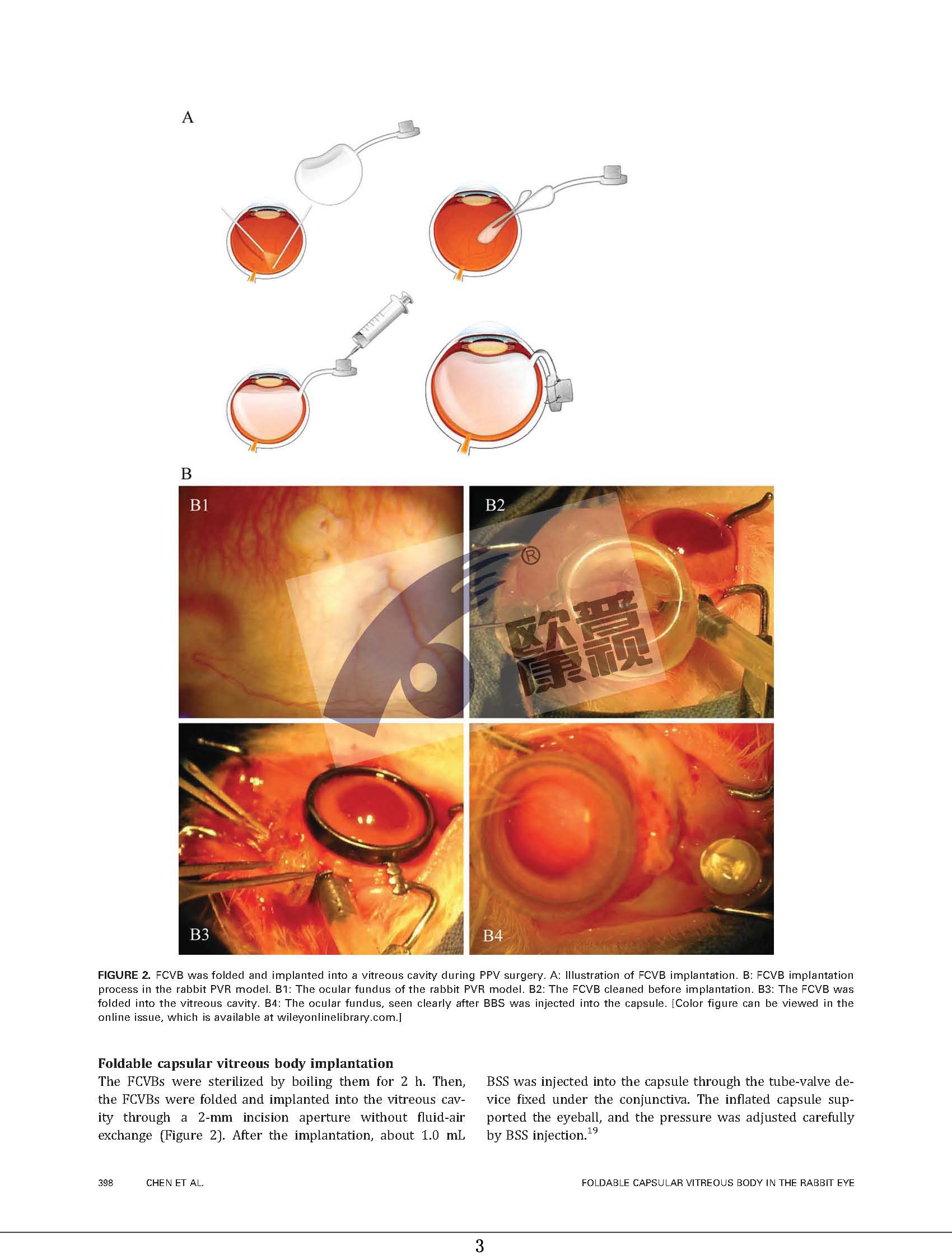 兴发xf(中国区)游戏有限公司