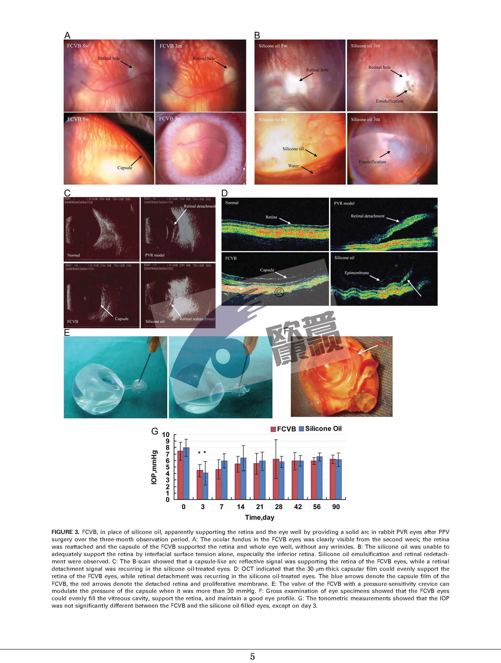 兴发xf(中国区)游戏有限公司