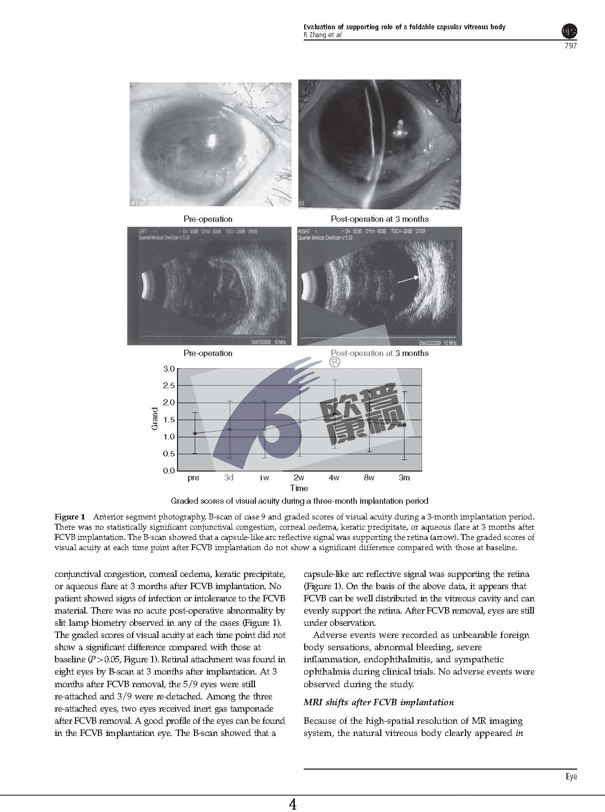 兴发xf(中国区)游戏有限公司