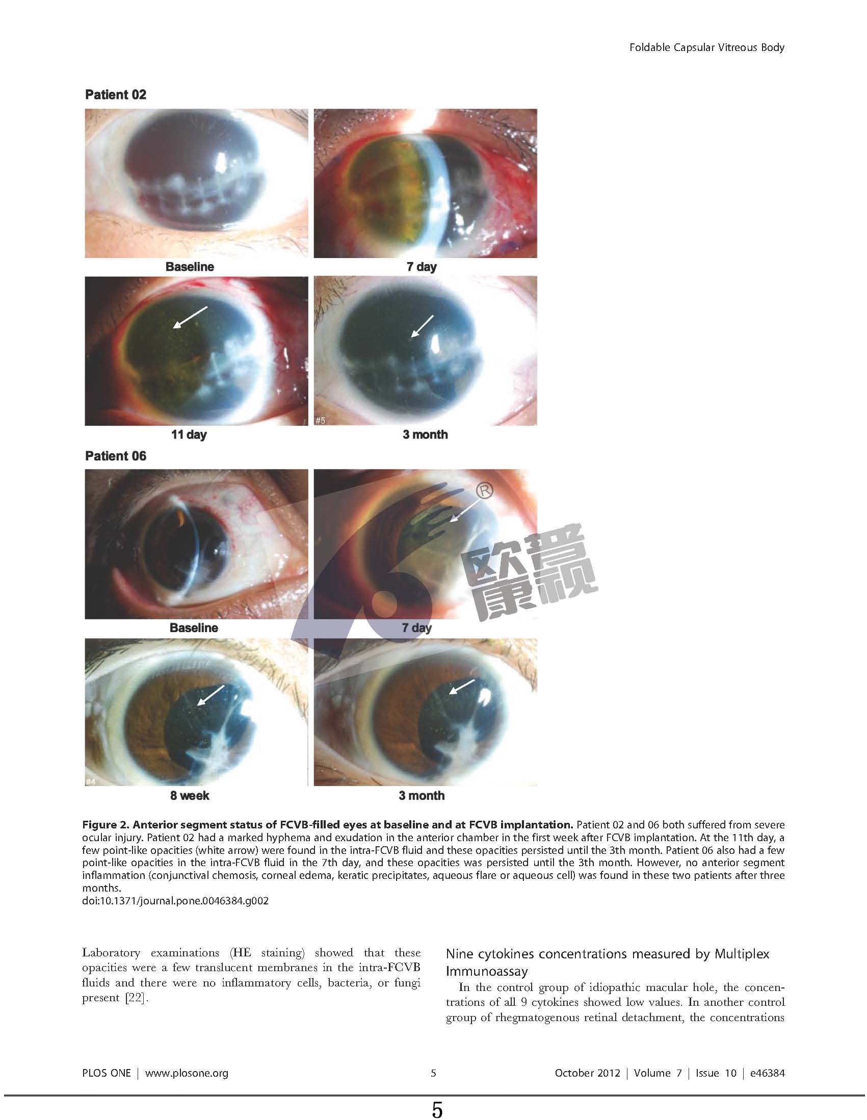 兴发xf(中国区)游戏有限公司