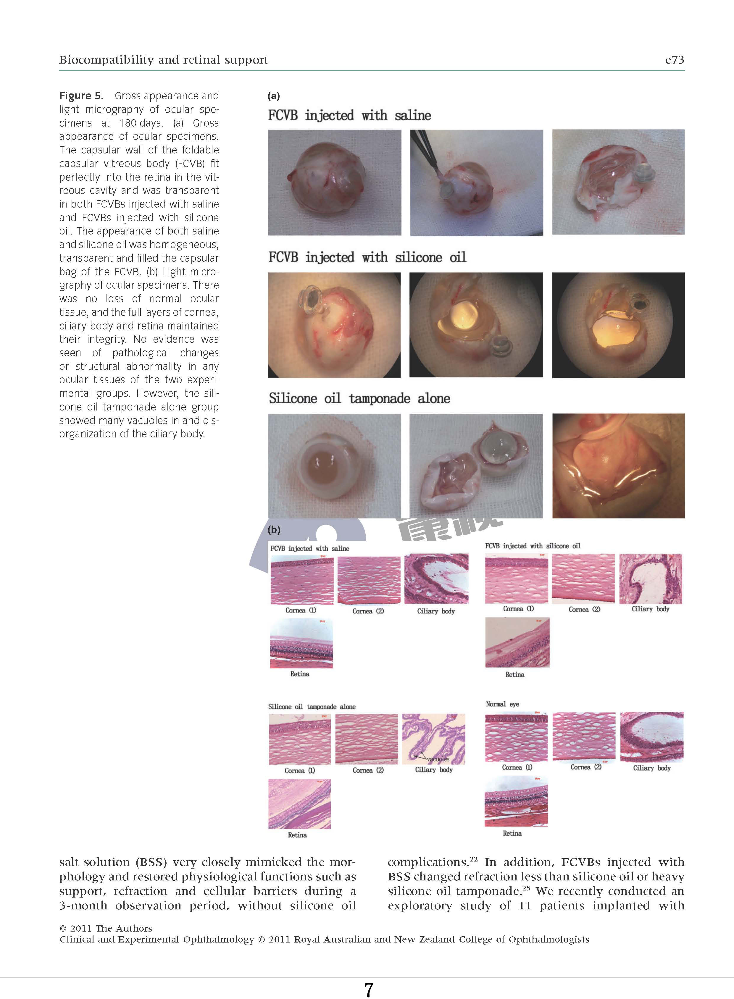 兴发xf(中国区)游戏有限公司