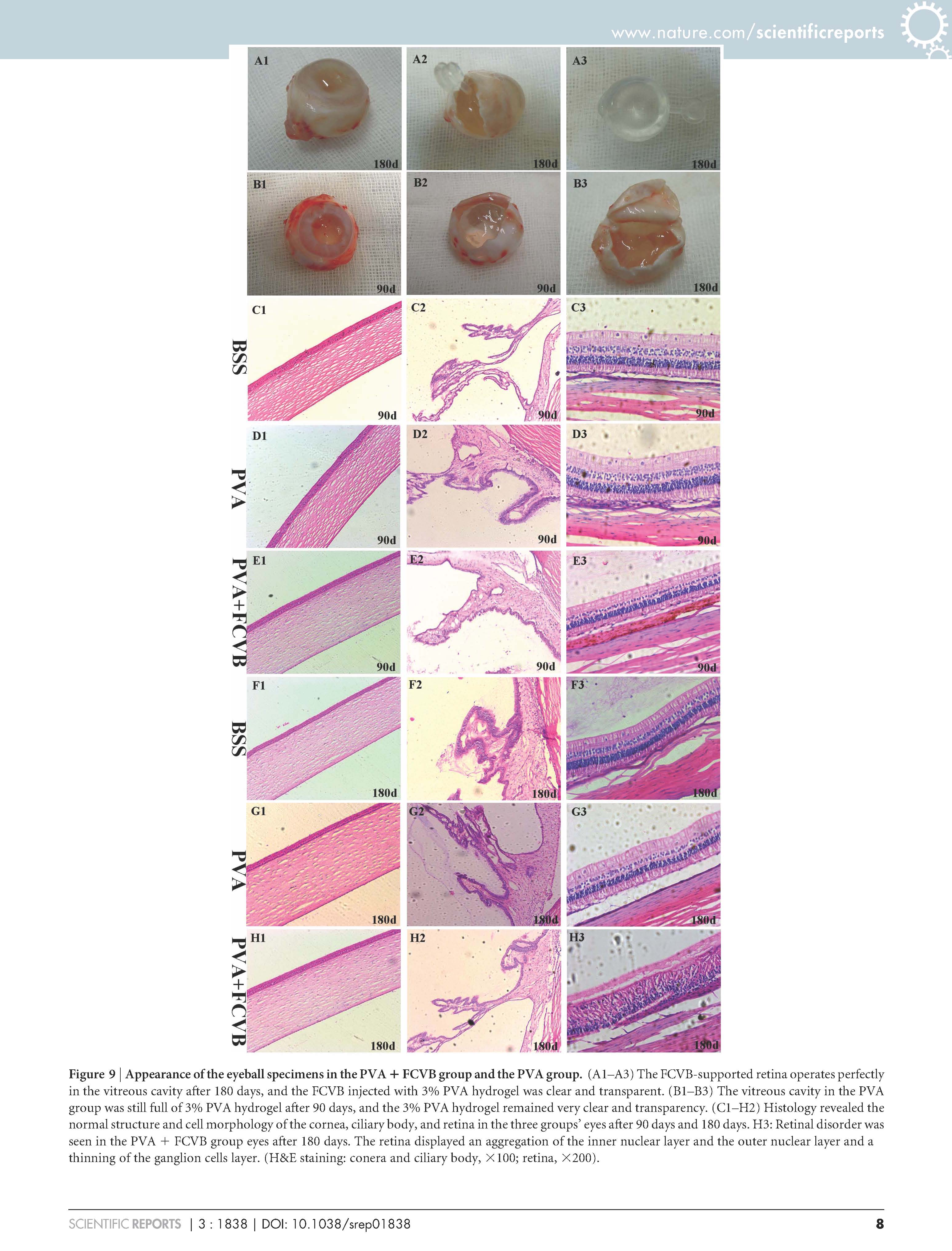 兴发xf(中国区)游戏有限公司
