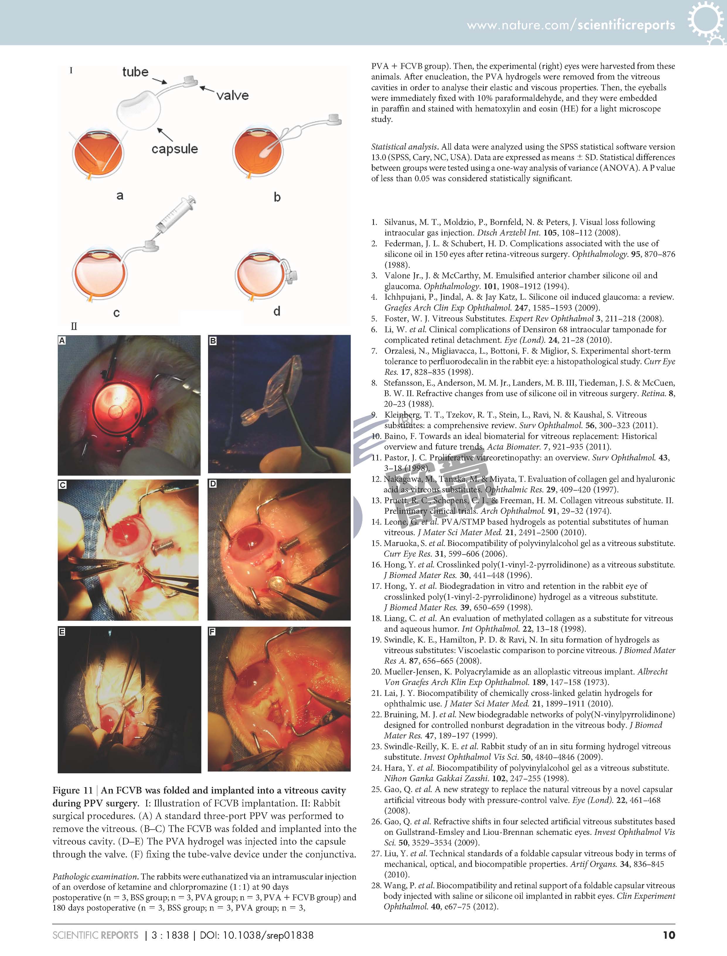 兴发xf(中国区)游戏有限公司