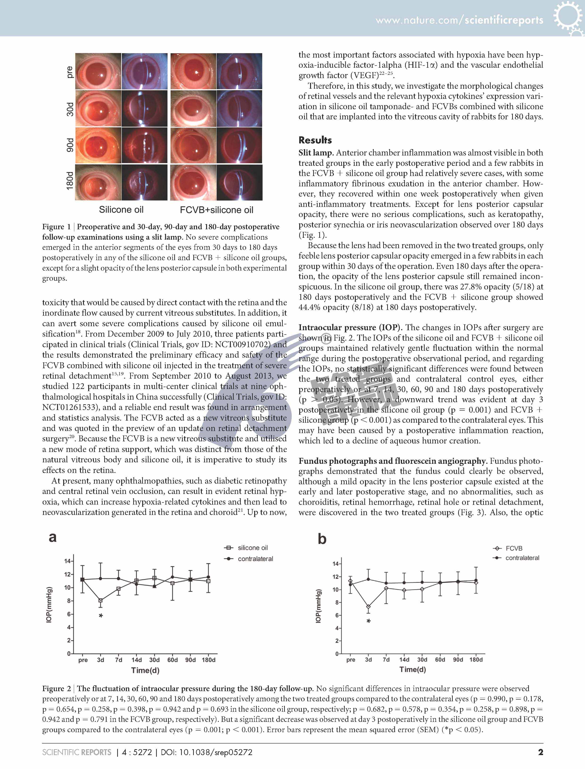 兴发xf(中国区)游戏有限公司