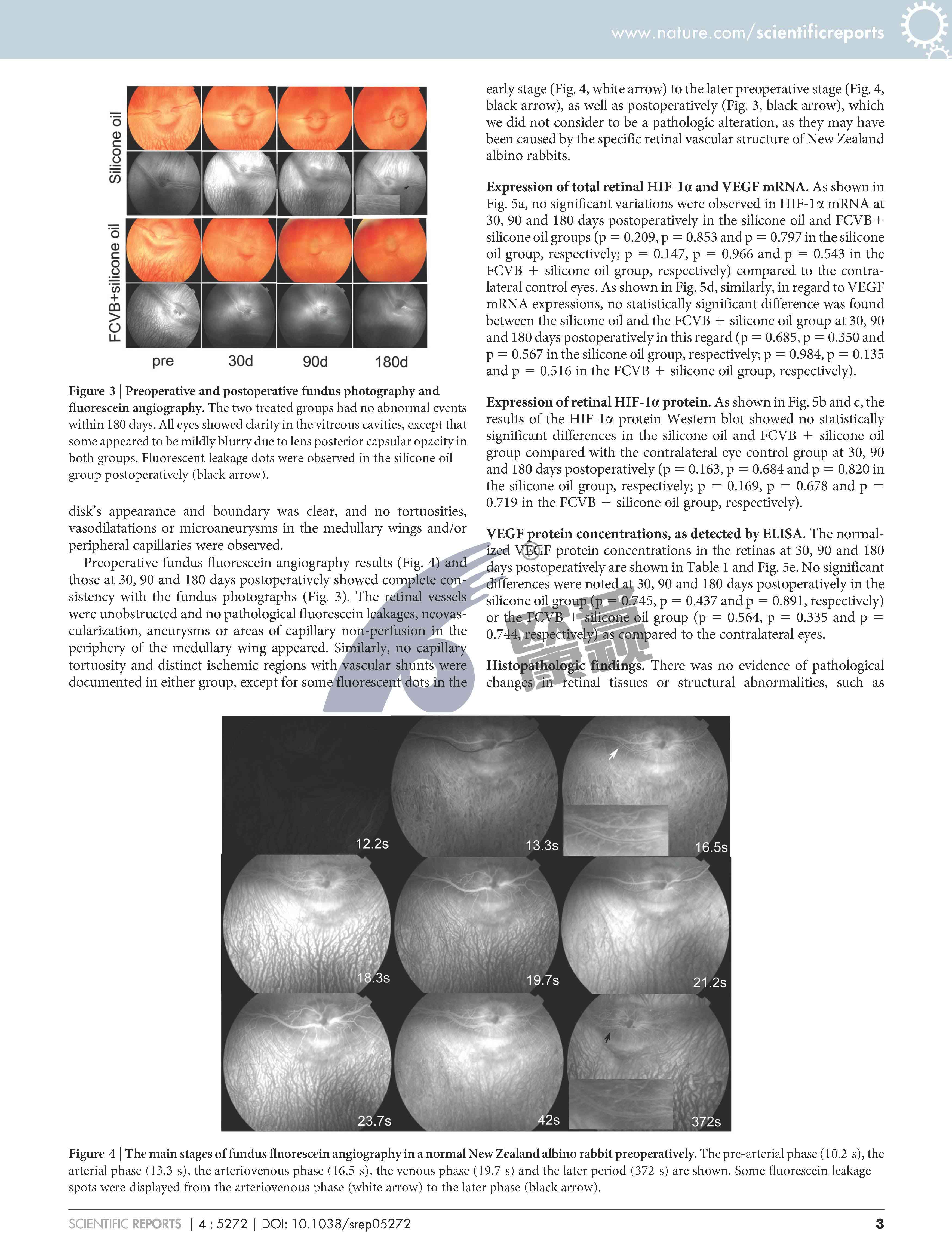 兴发xf(中国区)游戏有限公司