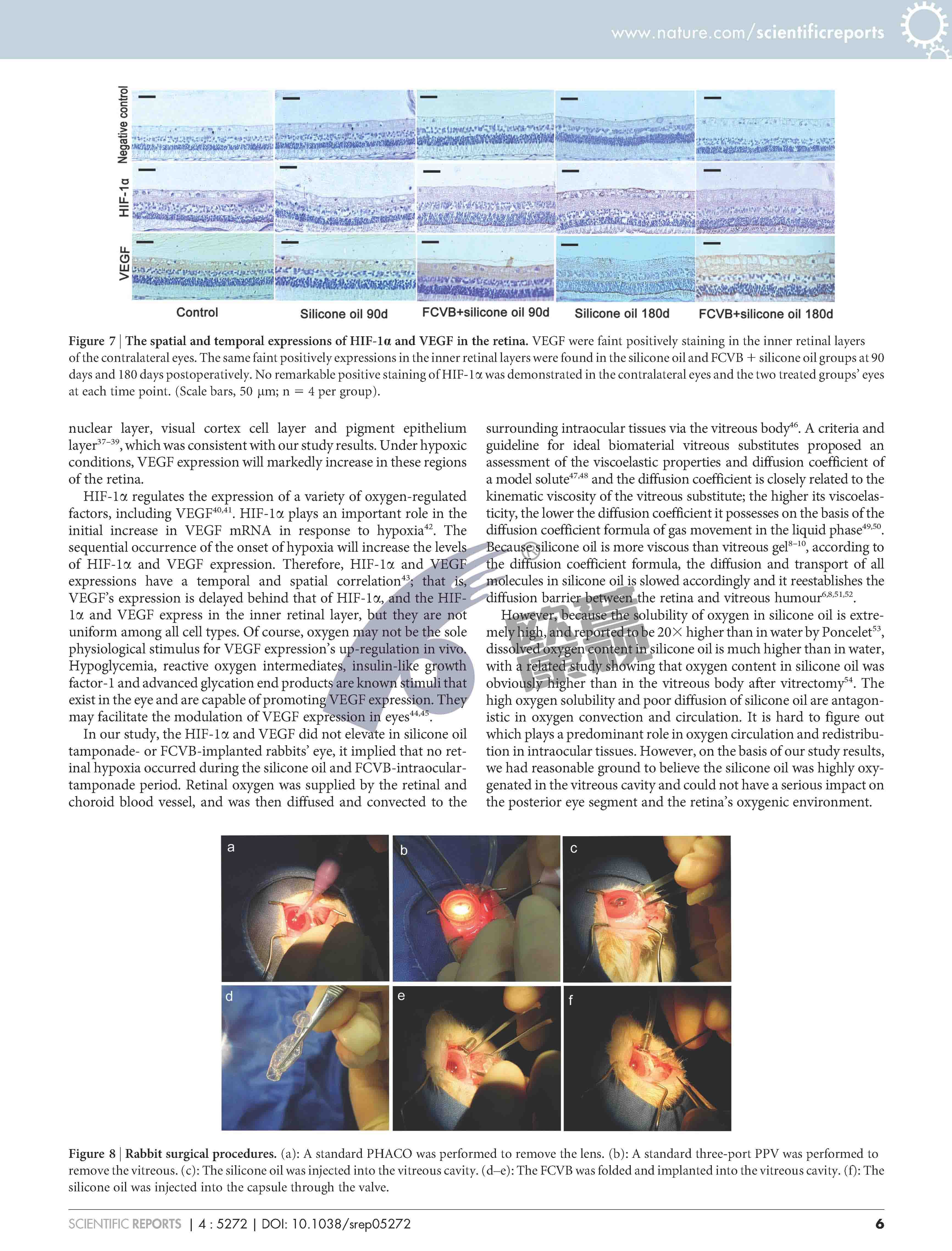 兴发xf(中国区)游戏有限公司