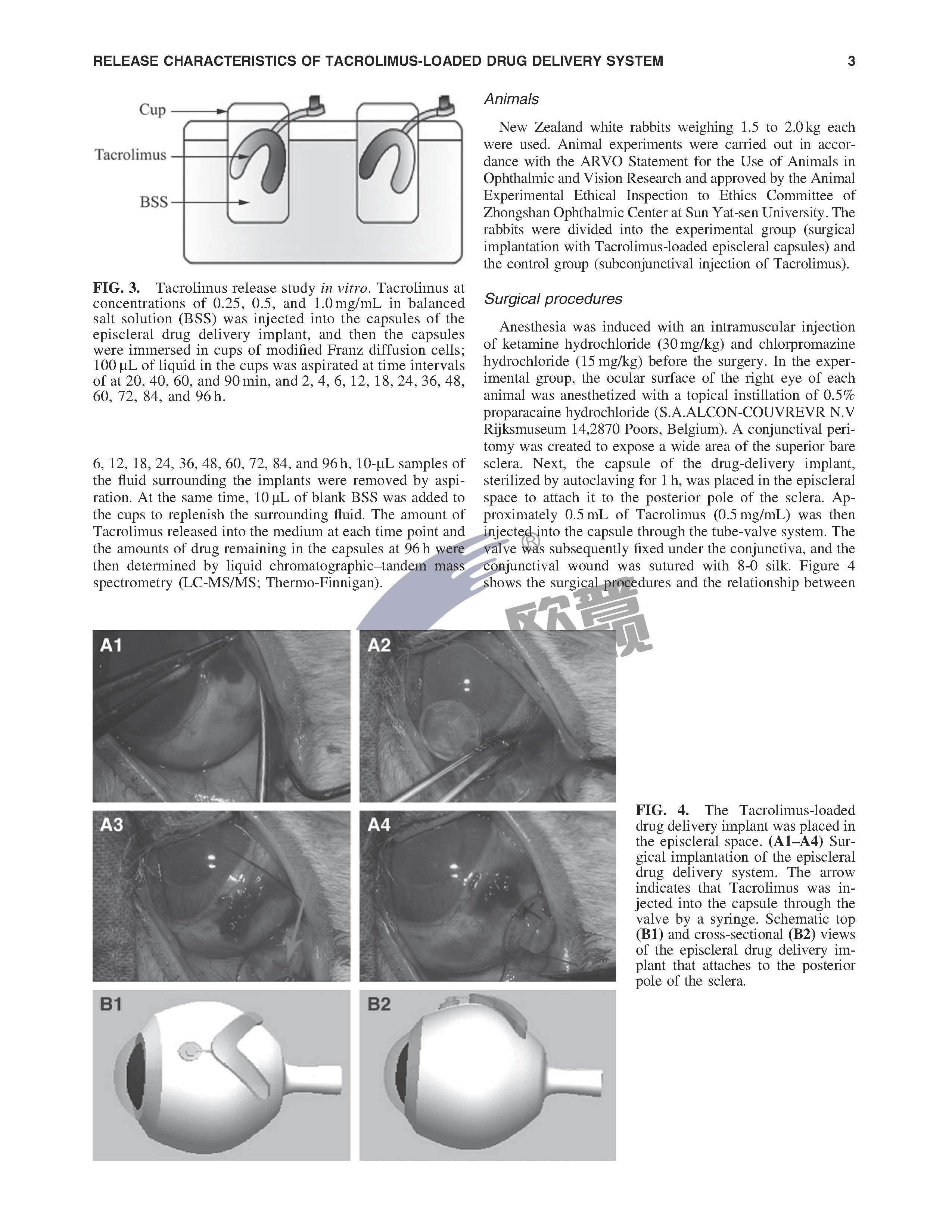 兴发xf(中国区)游戏有限公司