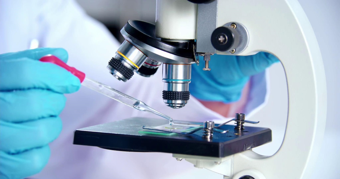 兴发xf(中国区)游戏有限公司