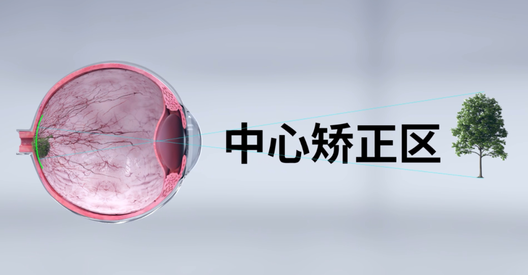 兴发xf(中国区)游戏有限公司